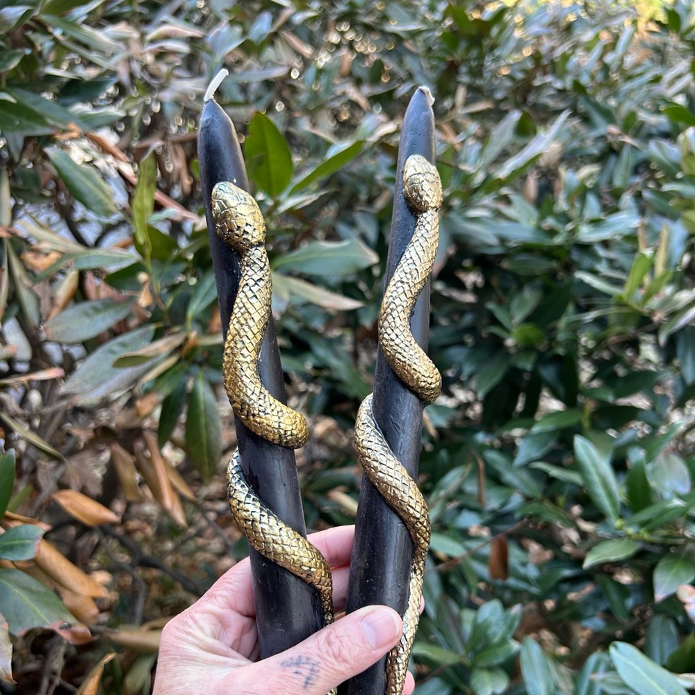 Anthropologie Black and Gold Snake Taper Candles